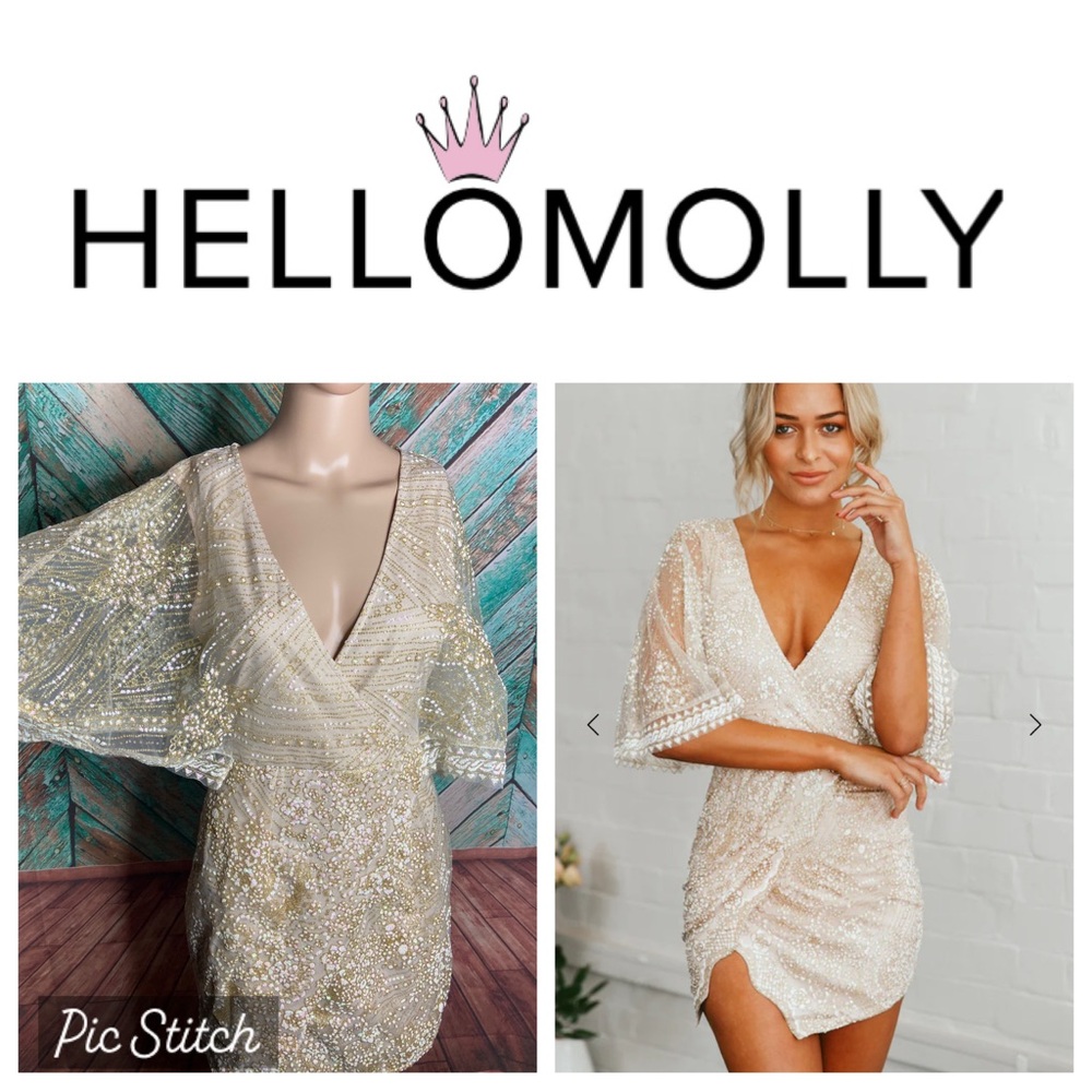 Hello Molly Champagne Evening Sun Beaded Embroidered Floral Mini Dress